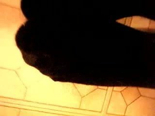 50 matue tekrar sığdır!