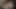 Sevimli ve seksi Asyalı oral seks yapmayı seviyor!