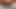 abanoz kıllı skype KEDİ