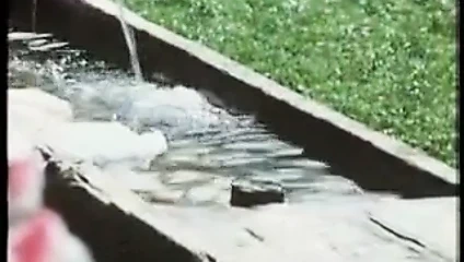 Seks komedi komik Alman bağbozumu