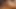 Asyalı birey Afrikalı kökenli iyi donanımlı bir erkekte oral seks yapmak ve anal seks yapmakla büyük bir zevk buluyor
