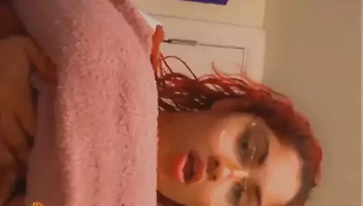 Büyük memeli Erica