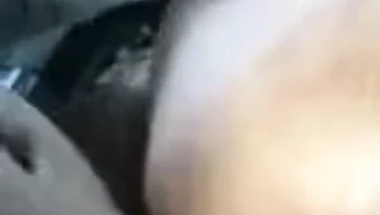 Fahişe zeka bazı iyi kedi z