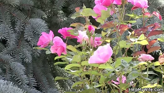 Yaşlı koca genç karısını izlerken çarptım alır