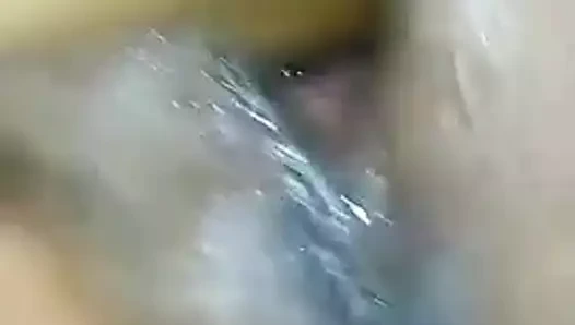 meksika iliklerine ıslak KEDİ