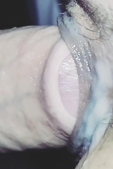 Üvey Kız Kardeş Babasının Büyük Yarağıyla Sikiliyor Ve Içine Boşalıyor