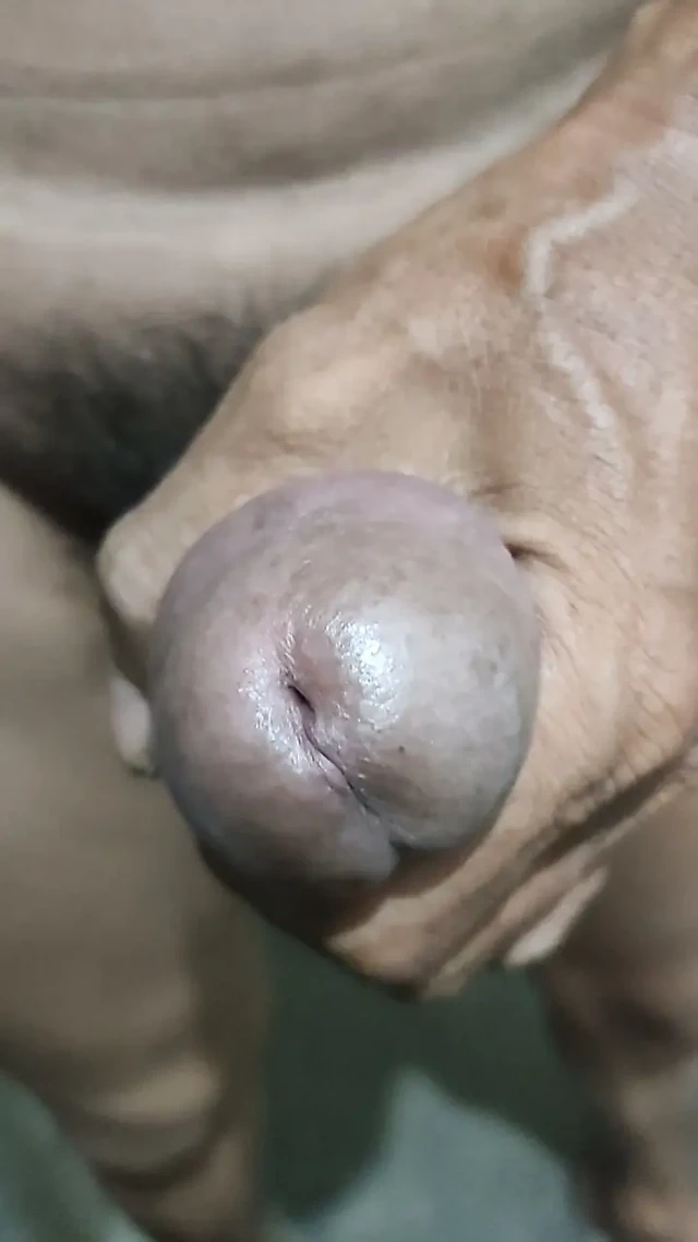 Önümde çömel ve dölümü iç
