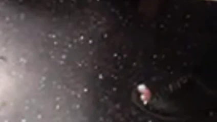 Sıcak batı Hint ayaklar içinde train