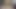 Şişman beyaz göt ve büyük zenci yarağı