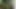 Seksi latino ile dreadlocks ezequiel barebacked sert tarafından