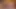Seksi çift güzel memeler göğüsler göt traş kedi oynama üzerinde kam
