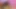 Yaramaz İngiliz bomba dildo çalarken yakalanıyor ve sarışın lezbiyen ateşli kız tarafından cezalandırılıyor