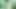 Stacxxxs sunar: Greenlight Special - Amber Lee