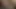 Redzilla canavar çük o can hande ağrı rican kedi nut