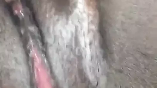 oyun içinde o kedi