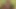 Max büyük götümü yalamak ve tabo gibi sert vermek istedi
