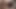 sperm stüdyoları boşalmak & anal sekreter nora - kısa - 10707