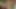 Junge Brünette masturbiert mit lila Dildo im Freien