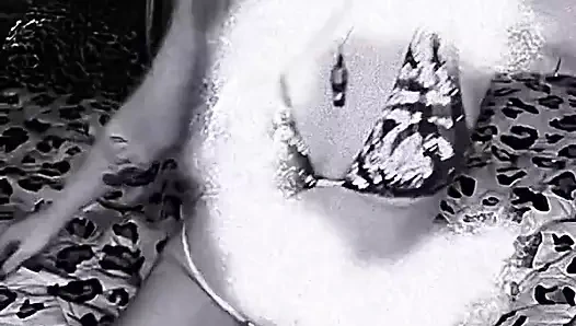 RainbowKitsune video