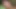 Harika götlü seksi hatun amını sert kalın bir yarağa kaydırıyor