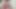 Bir öğrenci ve gırtlağına kadar büyük bir dildo emiyor!