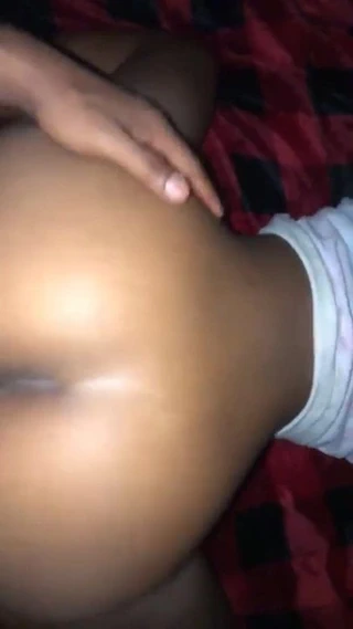 South florida kedi dövmek