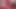 Sexy Brunette Skinny Girl Kneeling Gagging Big Dildo Sucking Amateur - Mia_gag_