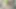 Daylight Car Adventure Continues