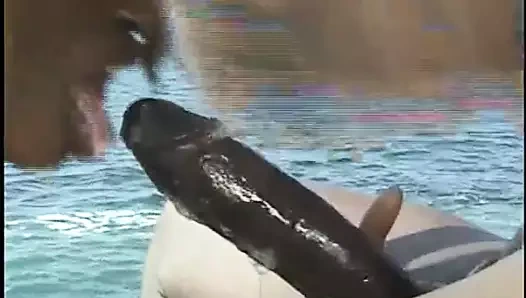 Geçmişin Afrikalı kirli günahkarları - cilt. #01