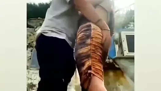 Bhabhi kedi yırtık yenge ki chut faad di hardcore inilti