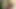 Kızıl saçlı güzellik hizmetçinin seksi ayaklarını yalıyor