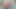 Seksi Suzy için büyük anal ceza