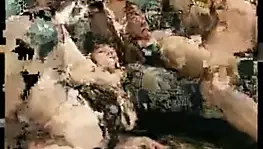 (bbw) olgun şişman