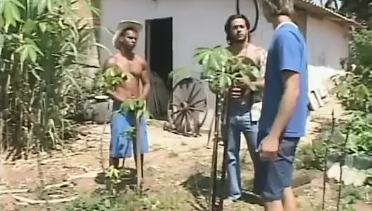 Azgın kovboylar çiftlik işçisi ile sikişiyor
