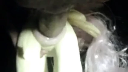 Mlp fluttershy kıçını (benim küçük midilli ile) dolu alır