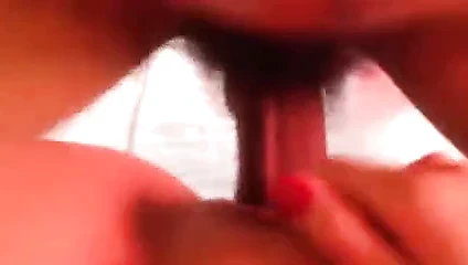 Kedi vurma 2