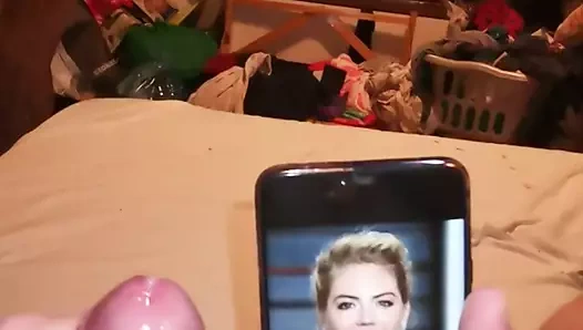 Tanrıça Kate Upton'a bir övgü daha