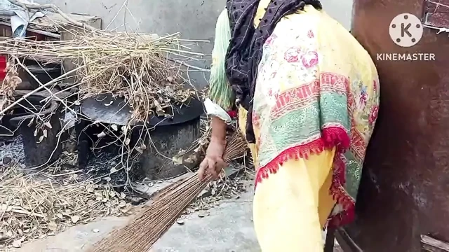 Annemin öksürük olduğunu görünce, onları bırakmak istedim.