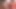 Bree olson ile lezzetli yüz ile ırklararası seks