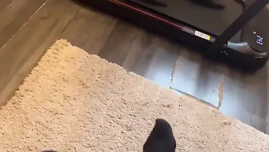 Evcil hayvanımla bir gün