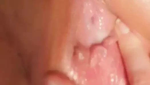 Kremsi ıslak kedi ile yaramaz callie