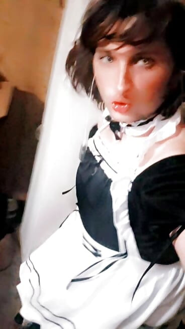 Ateşli transeksüel mor yarakla otobüsünü sikiyor