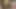 Baldızım Xvideo'da inleyene kadar dilimlerini açtı.