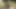 Büyük zenci emdirdi ve hepsini yutuyor