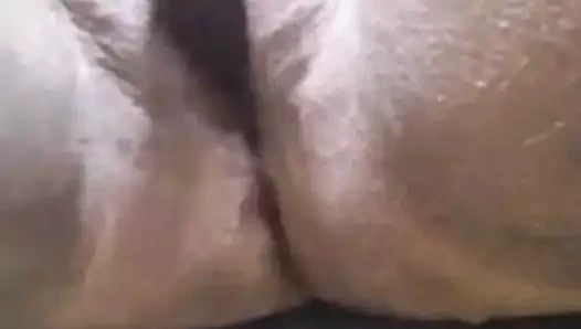 kahverengi civciv 31