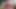 En sevdiği istiridyeyi ağzından siktirmeyi seviyor - taze genç amcık