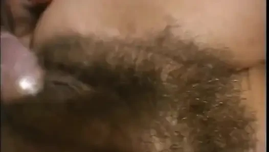 Bir kedi omurga domuzu