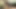 Kızıl saçlı güzellik hizmetçinin seksi ayaklarını yalıyor