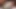 Cm3d2 chika takami aşk canlı