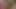 Jerkaoke - payton Preslee ve milan (teaser)